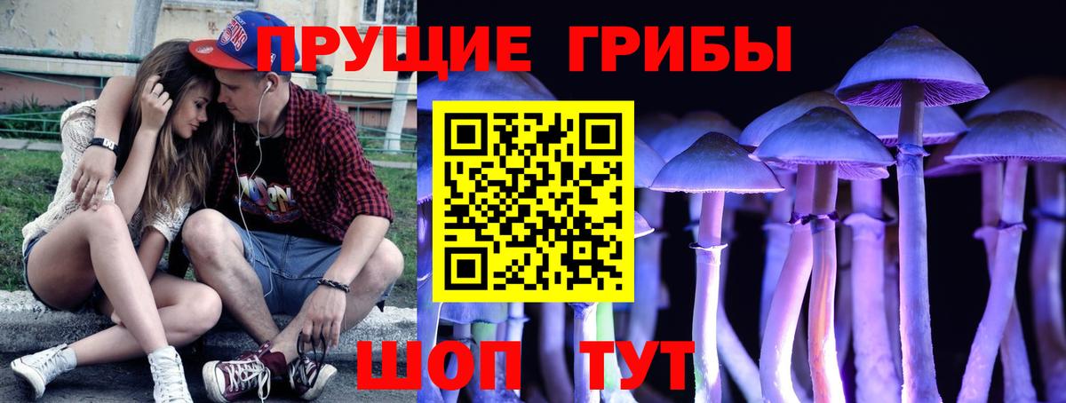 Хасавюрт  Псилоцибиновые грибы ЛСД  Псилоцибиновые грибы прущие грибы  Вход с VPN 