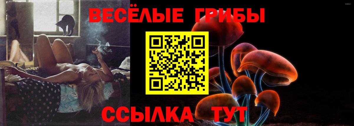 Псилоцибиновые грибы мухоморы Хасавюрт